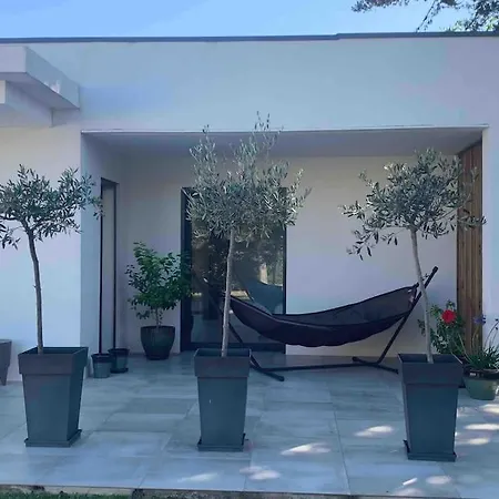 Maison Contemporaine *